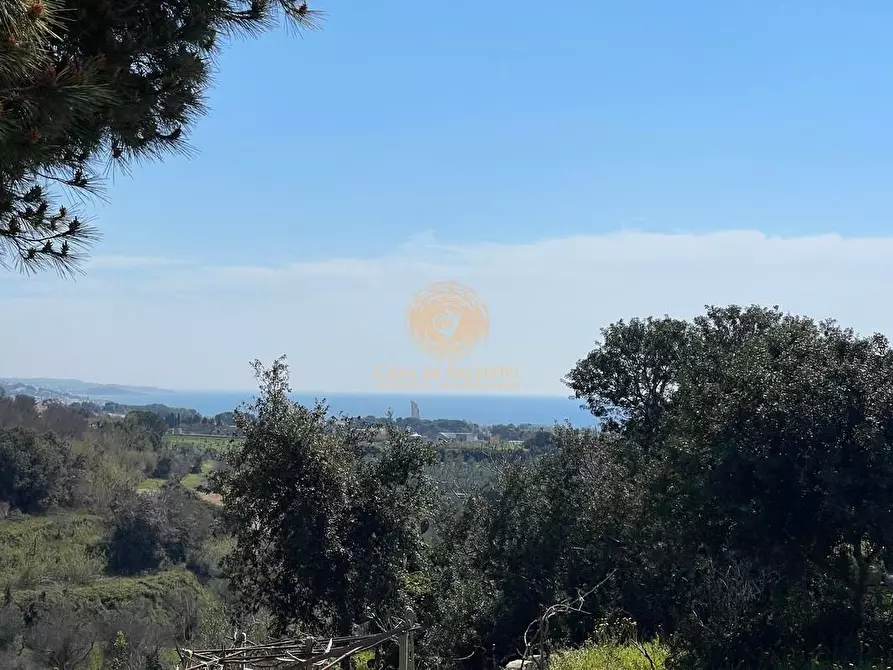 Immagine 9 di Casa trifamiliare in vendita  a Salve