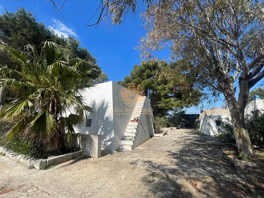 Immagine 11 di Casa trifamiliare in vendita  a Salve