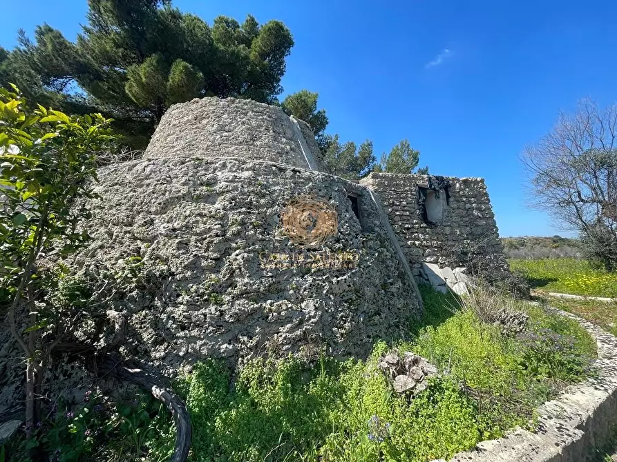 Immagine 17 di Casa trifamiliare in vendita  a Salve