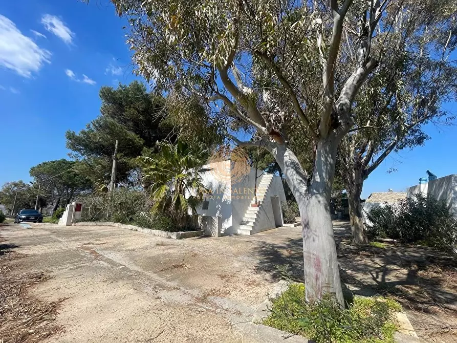 Immagine 10 di Casa trifamiliare in vendita  a Salve