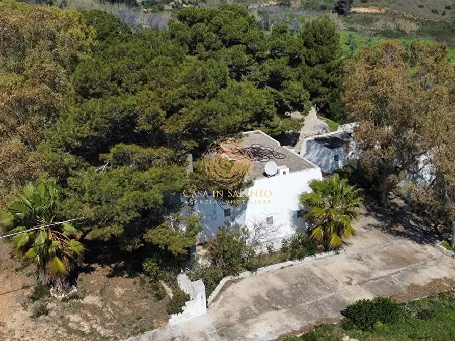 Immagine 4 di Casa trifamiliare in vendita  a Salve