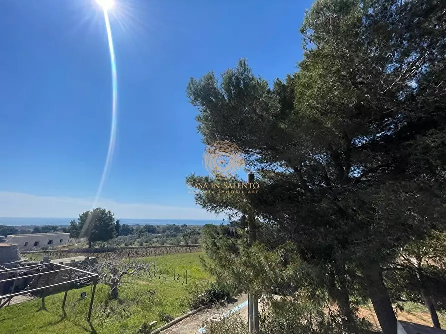 Immagine 23 di Casa trifamiliare in vendita  a Salve