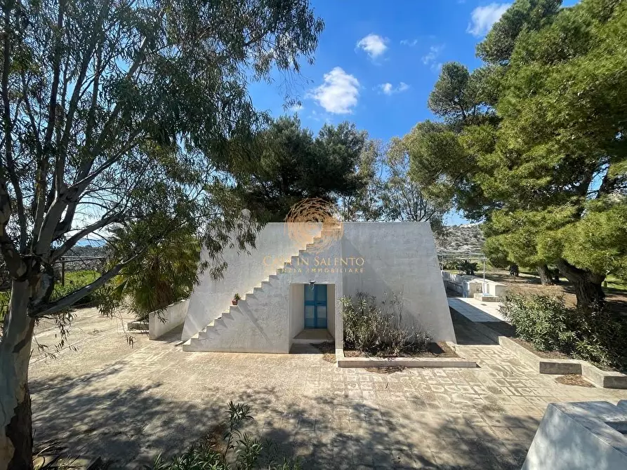 Immagine 8 di Casa trifamiliare in vendita  a Salve