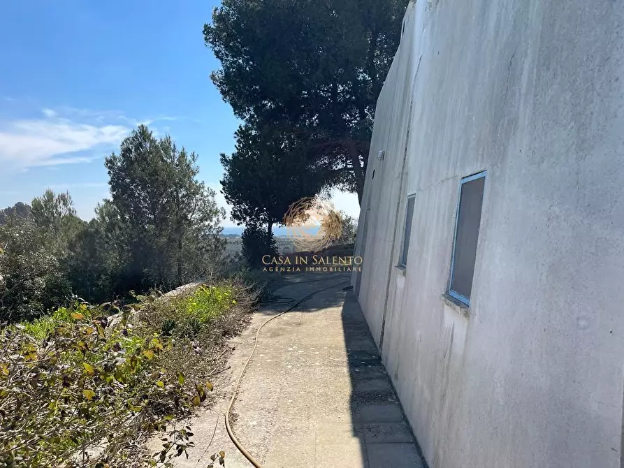 Immagine 18 di Casa trifamiliare in vendita  a Salve