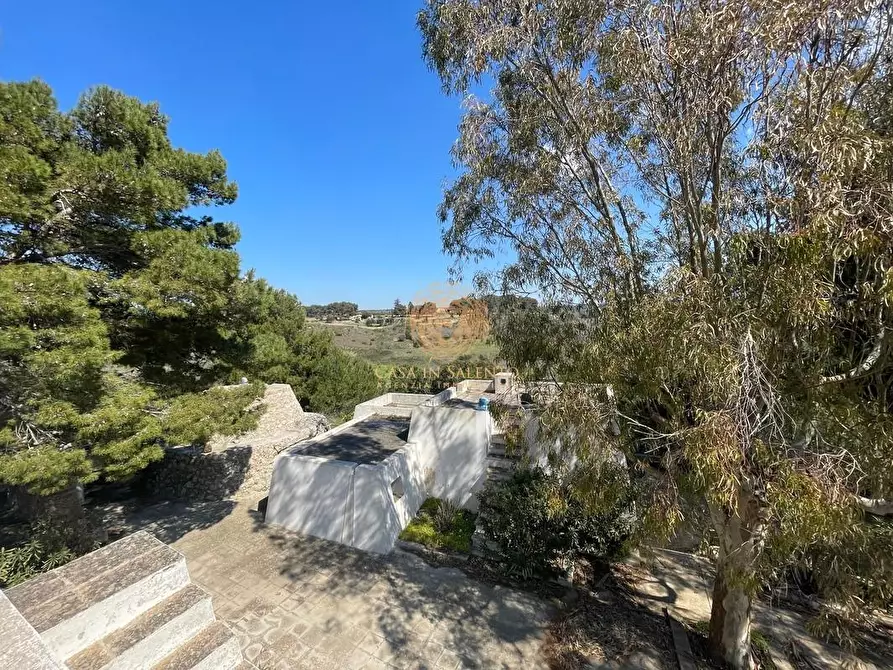 Immagine 24 di Casa trifamiliare in vendita  a Salve