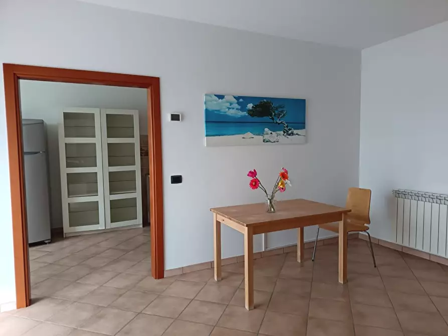 Immagine 5 di Appartamento in vendita  a Rosignano Marittimo