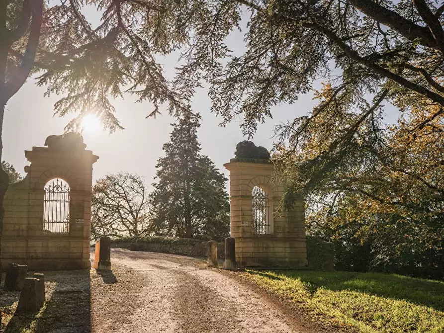 Immagine 35 di Appartamento in vendita  a Calcinaia