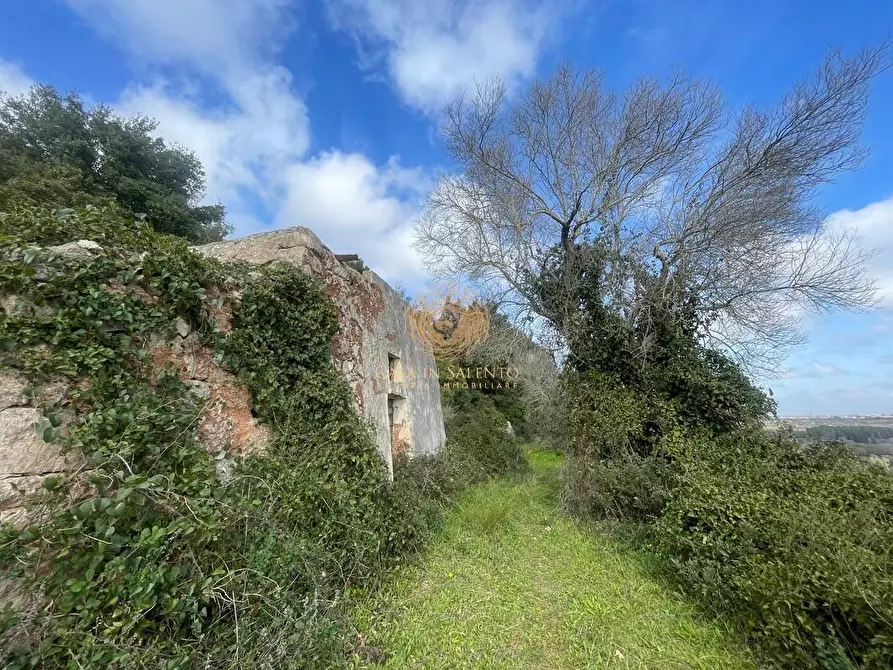 Immagine 20 di Terreno agricolo in vendita  a Alessano
