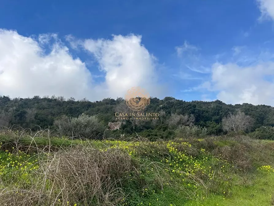 Immagine 32 di Terreno agricolo in vendita  a Alessano