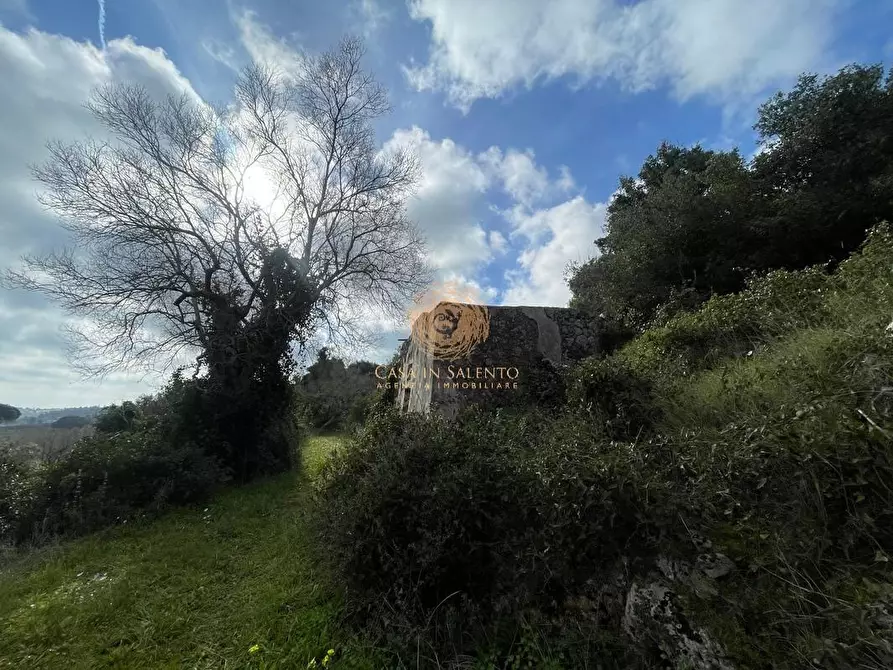 Immagine 29 di Terreno agricolo in vendita  a Alessano