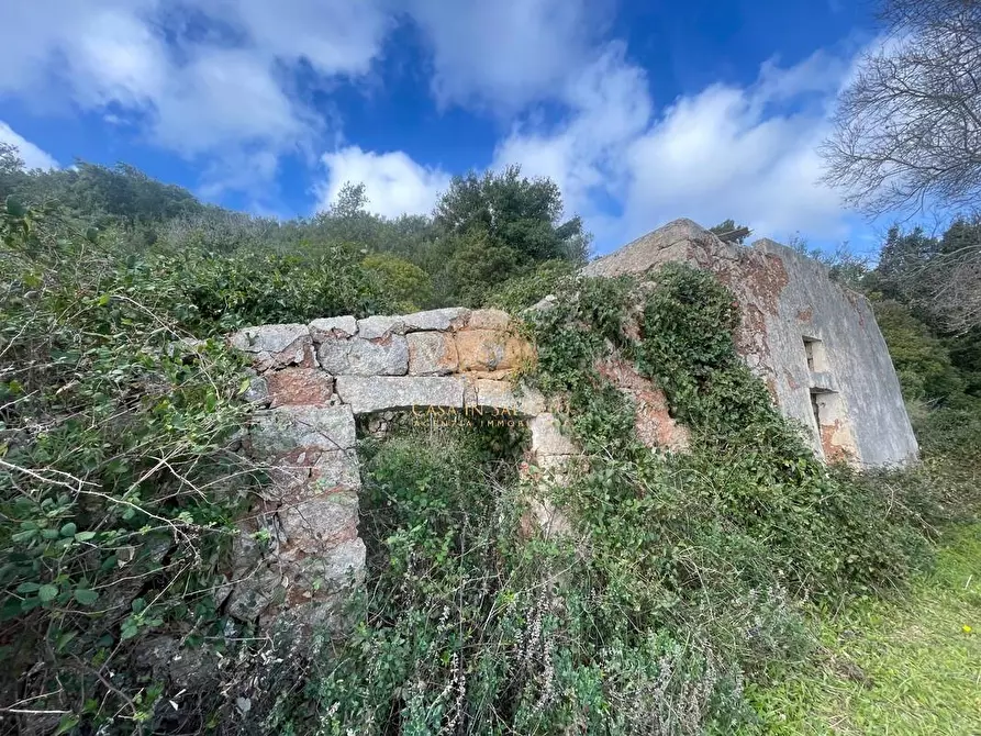 Immagine 21 di Terreno agricolo in vendita  a Alessano
