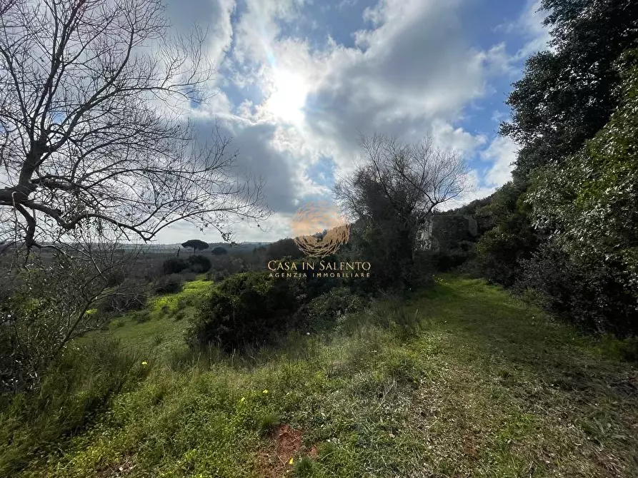 Immagine 30 di Terreno agricolo in vendita  a Alessano