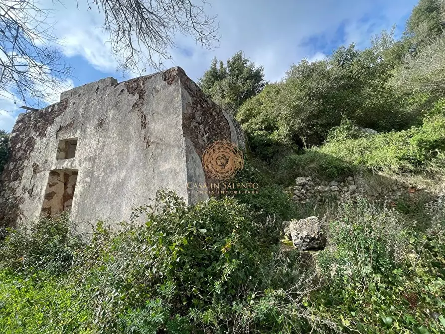 Immagine 27 di Terreno agricolo in vendita  a Alessano