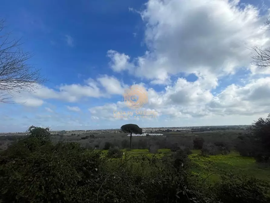 Immagine 22 di Terreno agricolo in vendita  a Alessano