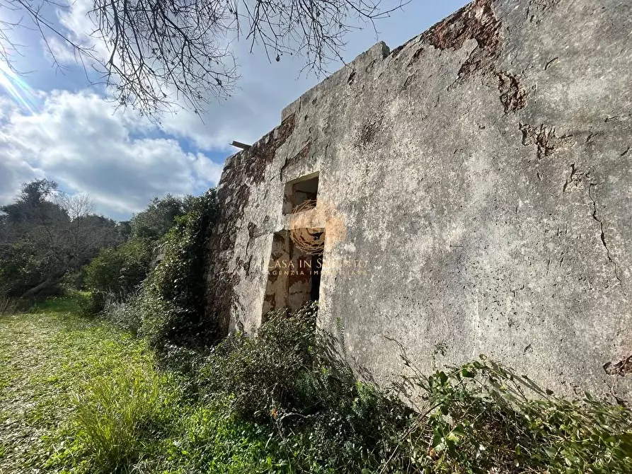 Immagine 26 di Terreno agricolo in vendita  a Alessano