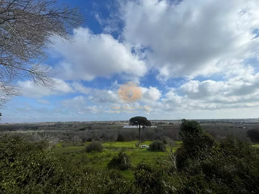 Immagine 23 di Terreno agricolo in vendita  a Alessano