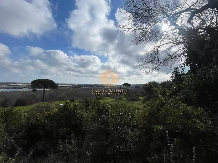 Immagine 28 di Terreno agricolo in vendita  a Alessano