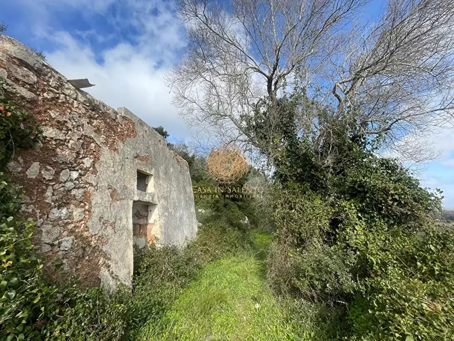 Immagine 24 di Terreno agricolo in vendita  a Alessano