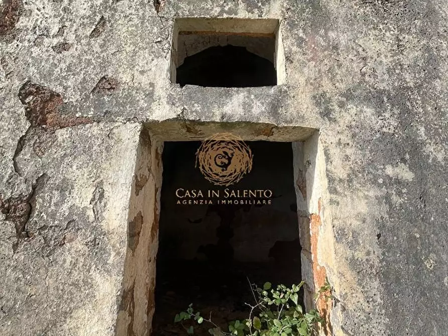 Immagine 25 di Terreno agricolo in vendita  a Alessano