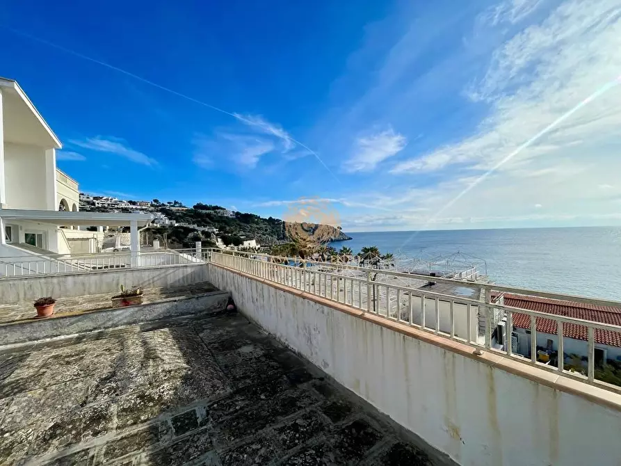 Immagine 22 di Villa in vendita  a Castro