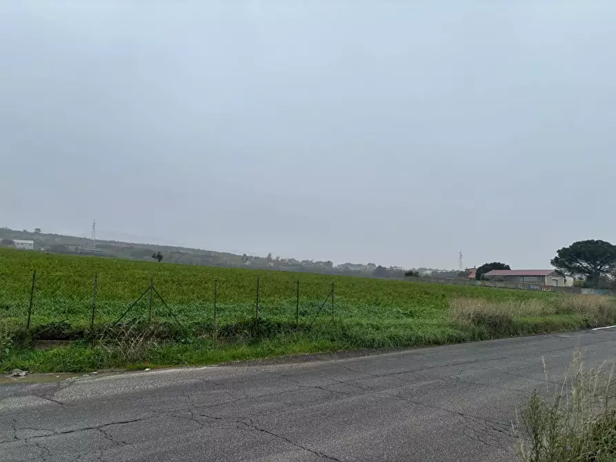 Immagine 5 di Terreno industriale in vendita  a Montecompatri