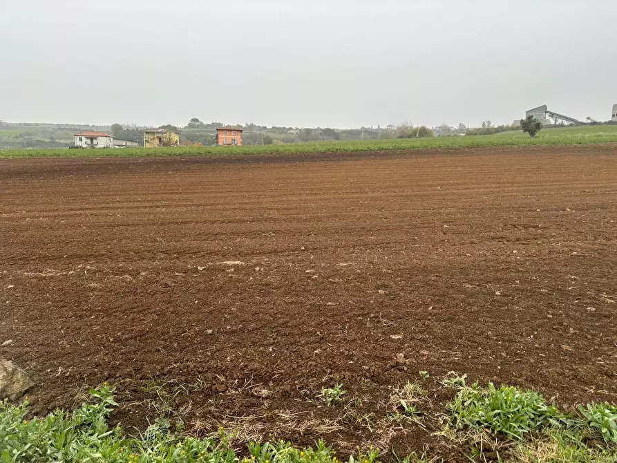 Immagine 4 di Terreno industriale in vendita  a Montecompatri