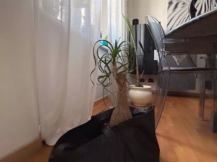 Immagine 12 di Appartamento in vendita  a Livorno