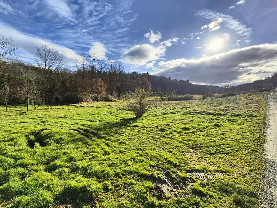 Immagine 2 di Rustico / casale in vendita  a Montaione