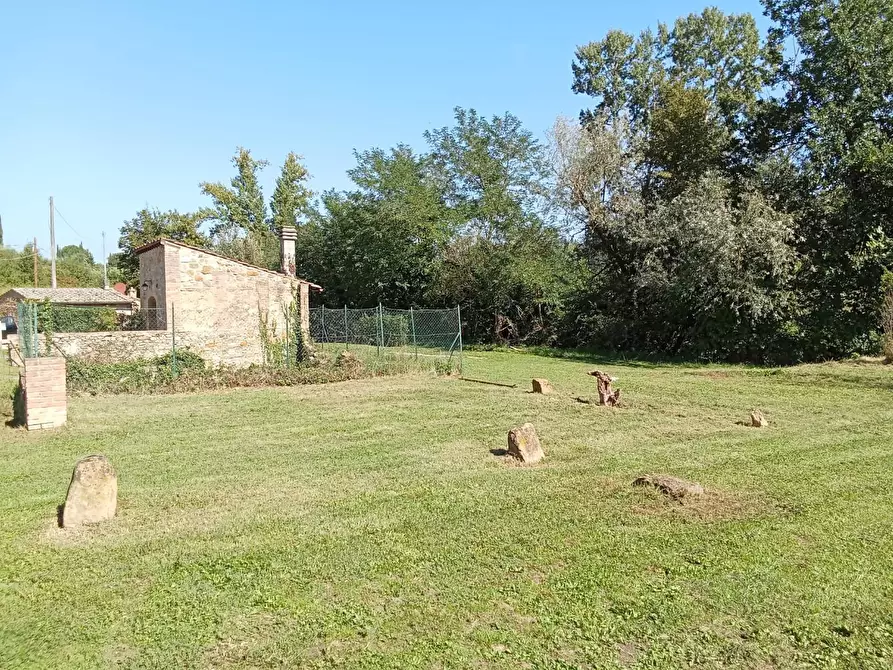 Immagine 7 di Rustico / casale in vendita  a Montaione