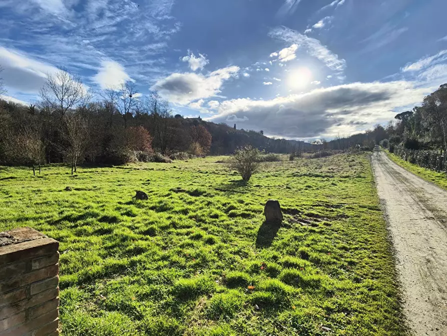 Immagine 3 di Rustico / casale in vendita  a Montaione