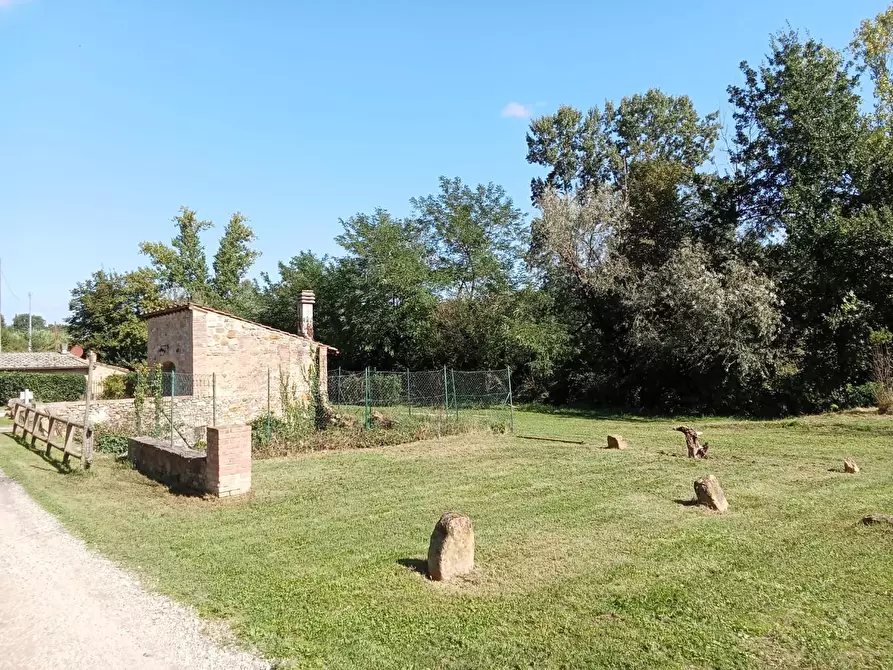 Immagine 8 di Rustico / casale in vendita  a Montaione