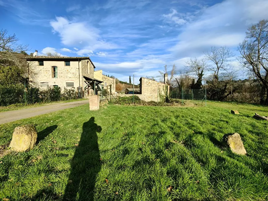 Immagine 5 di Rustico / casale in vendita  a Montaione