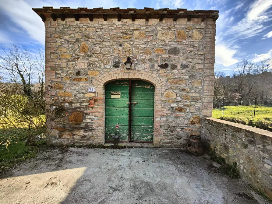 Immagine 4 di Rustico / casale in vendita  a Montaione