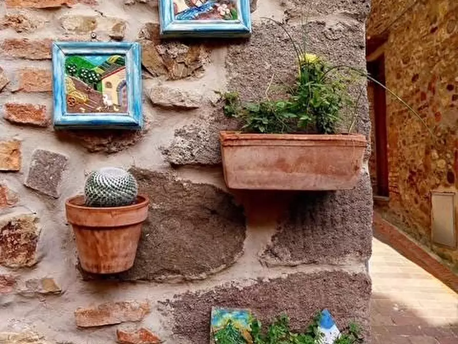 Immagine 40 di Appartamento in vendita  a Lajatico