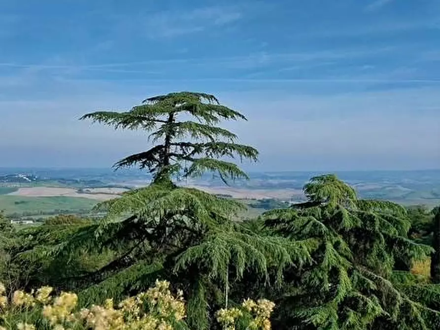 Immagine 29 di Appartamento in vendita  a Lajatico