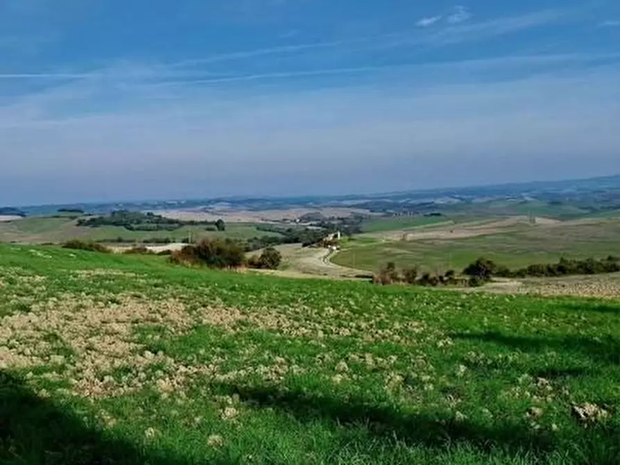 Immagine 27 di Appartamento in vendita  a Lajatico