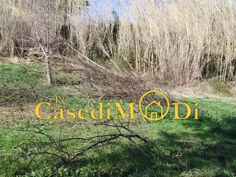 Immagine 5 di Terreno agricolo in vendita  a Livorno