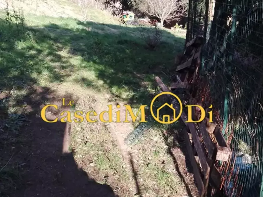 Immagine 3 di Terreno agricolo in vendita  a Livorno