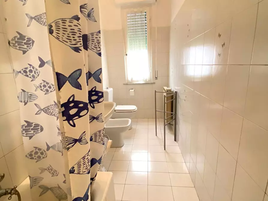 Immagine 18 di Appartamento in vendita  a Massa