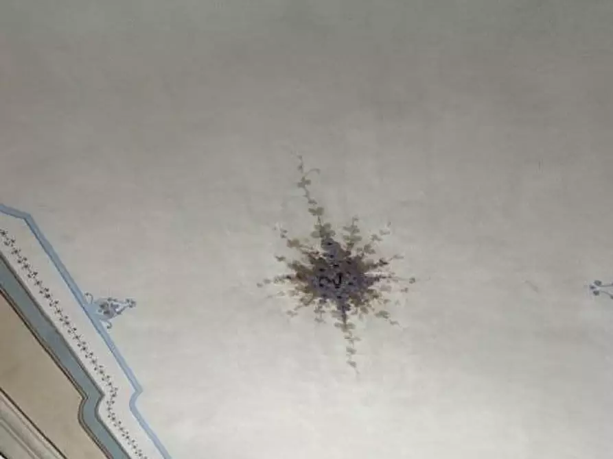 Immagine 12 di Appartamento in vendita  a Pisa