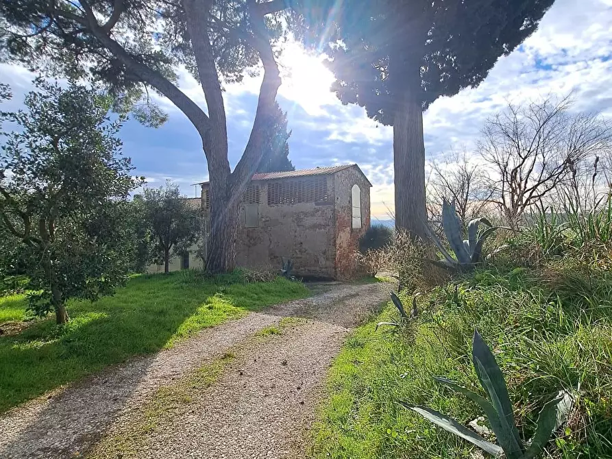 Immagine 4 di Terratetto in vendita  a Cerreto Guidi