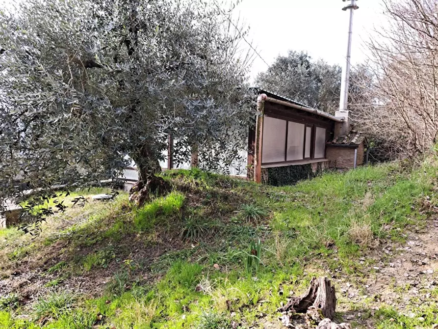 Immagine 19 di Terratetto in vendita  a Cerreto Guidi