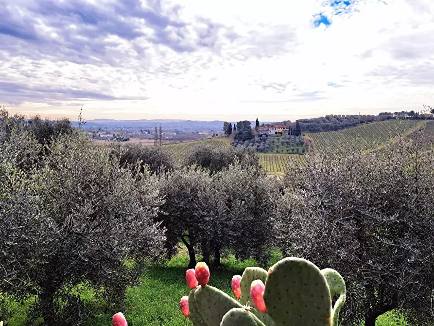 Immagine 16 di Terratetto in vendita  a Cerreto Guidi