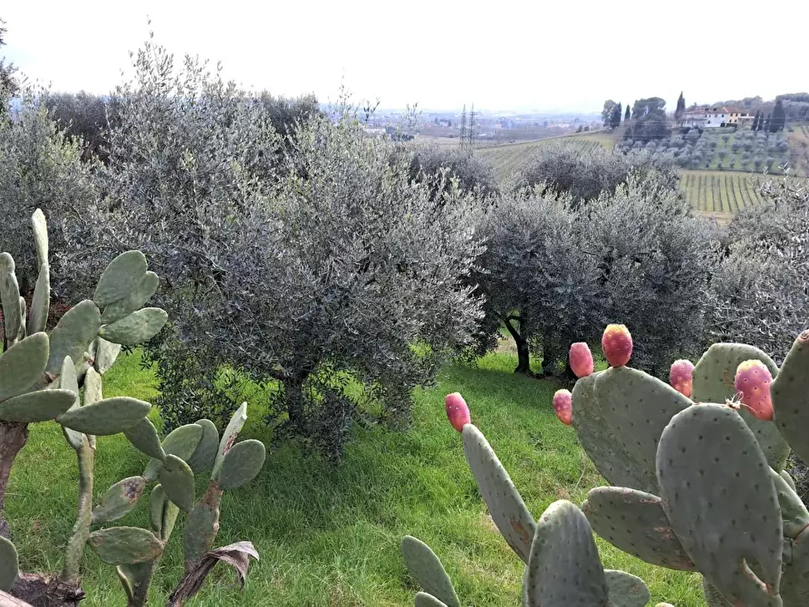 Immagine 17 di Terratetto in vendita  a Cerreto Guidi
