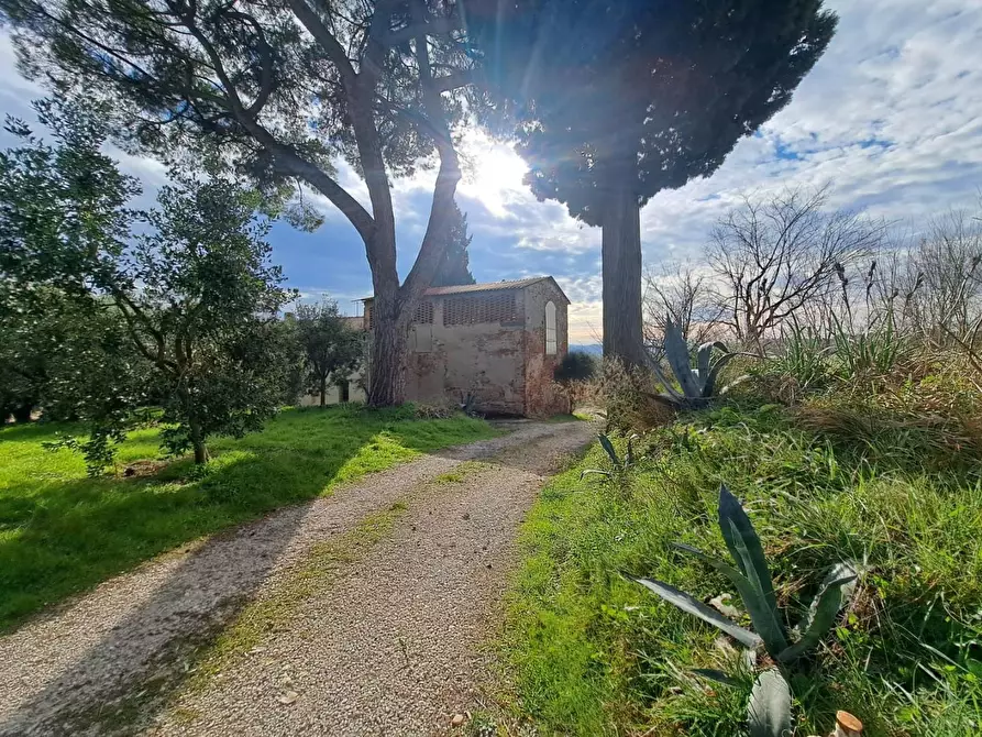 Immagine 3 di Terratetto in vendita  a Cerreto Guidi