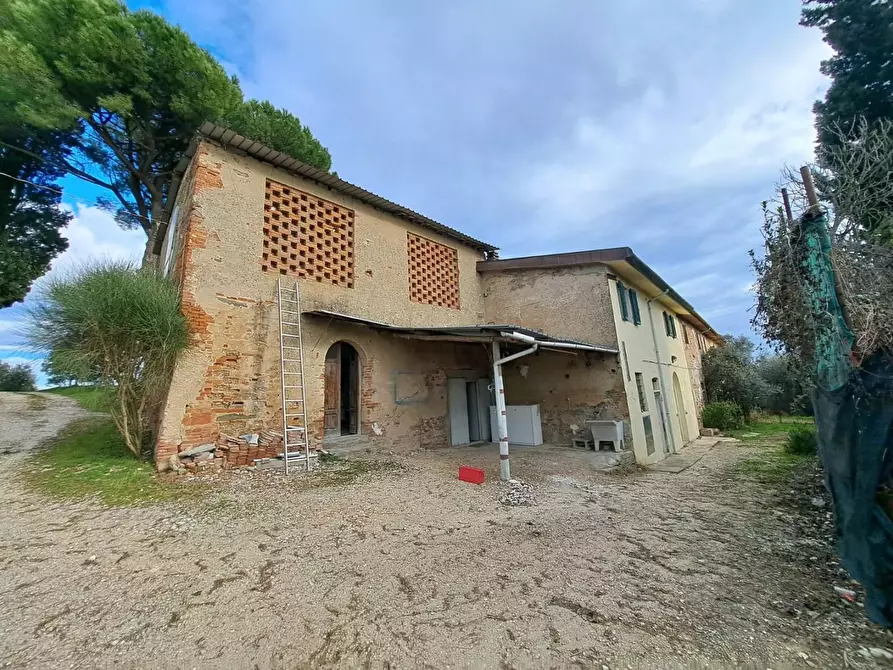 Immagine 9 di Terratetto in vendita  a Cerreto Guidi