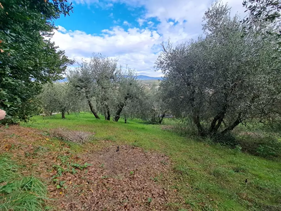 Immagine 20 di Terratetto in vendita  a Cerreto Guidi
