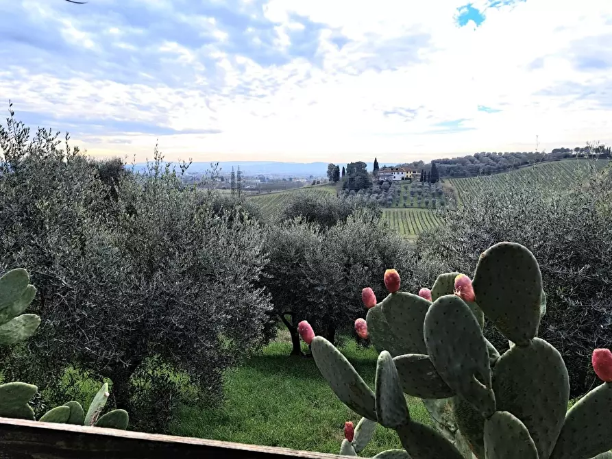 Immagine 15 di Terratetto in vendita  a Cerreto Guidi