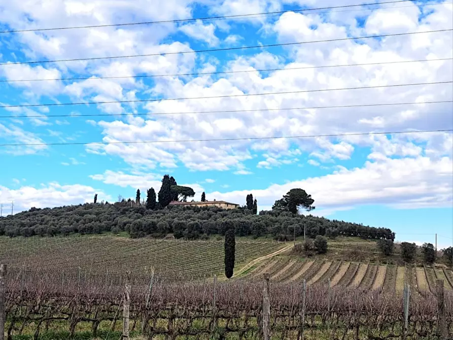 Immagine 42 di Terratetto in vendita  a Cerreto Guidi