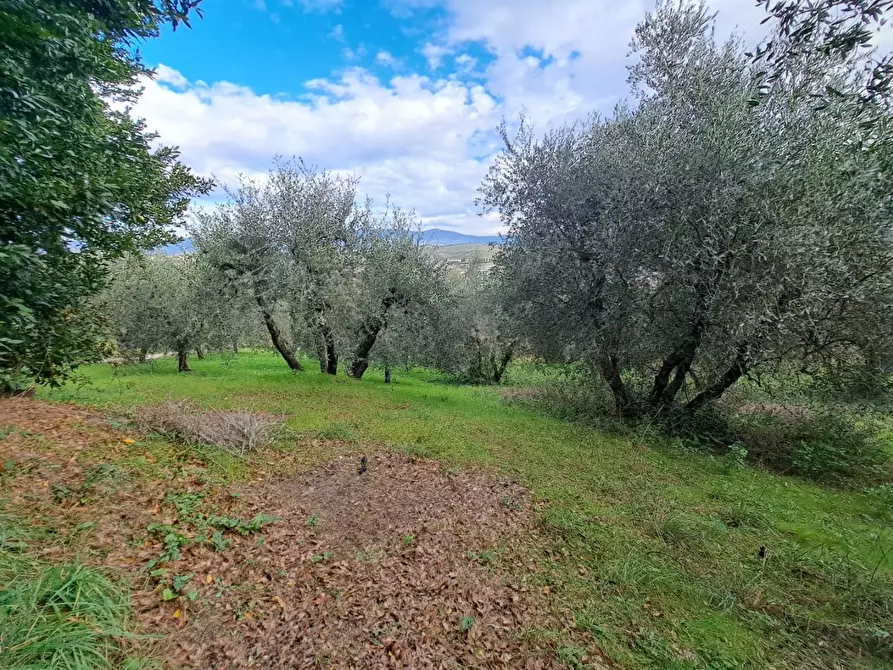 Immagine 18 di Terratetto in vendita  a Cerreto Guidi